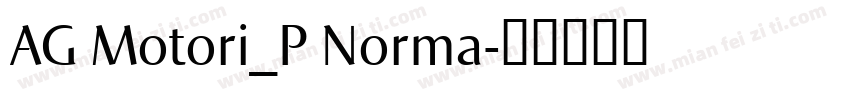 AG Motori_P Norma字体转换